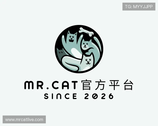知道Mr.Cat官方平台